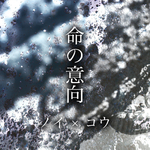 摄殓18r微博超话
