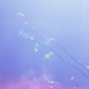 摄殓18r微博超话
