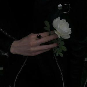 摄殓18r微博超话
